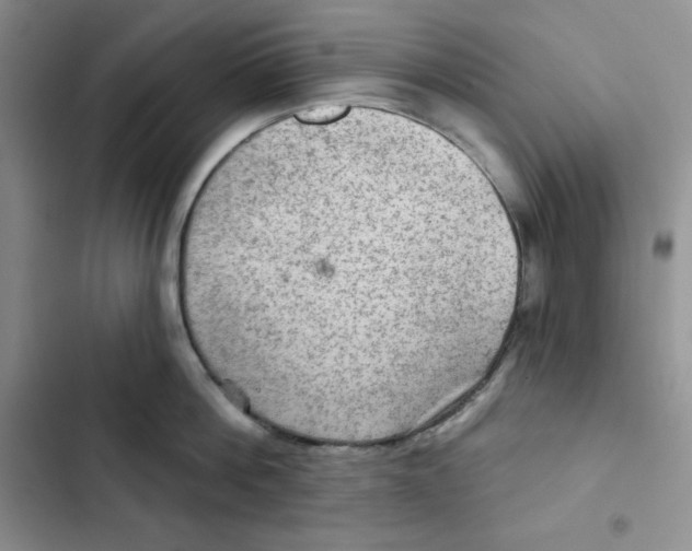 X0000102280812200808221303