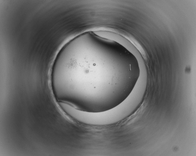 X0000102280813200808221303