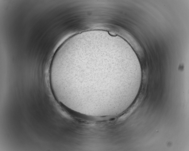 X0000102280814200808221302
