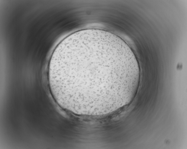 X0000102280816200808221302