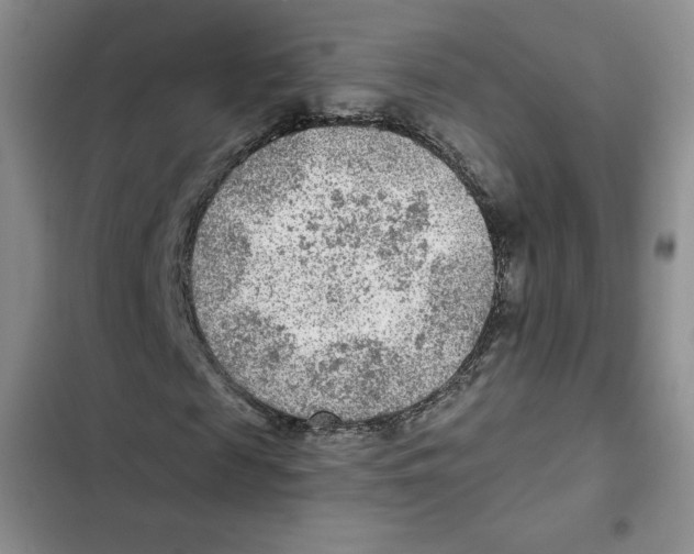 X0000102280817200808221302