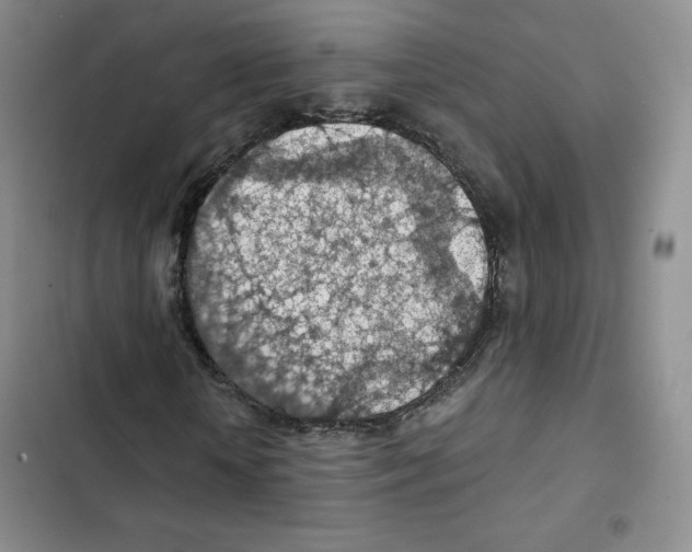 X0000102280818200808221302