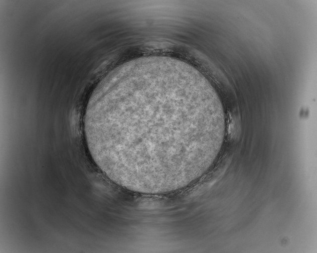X0000102280819200808221302