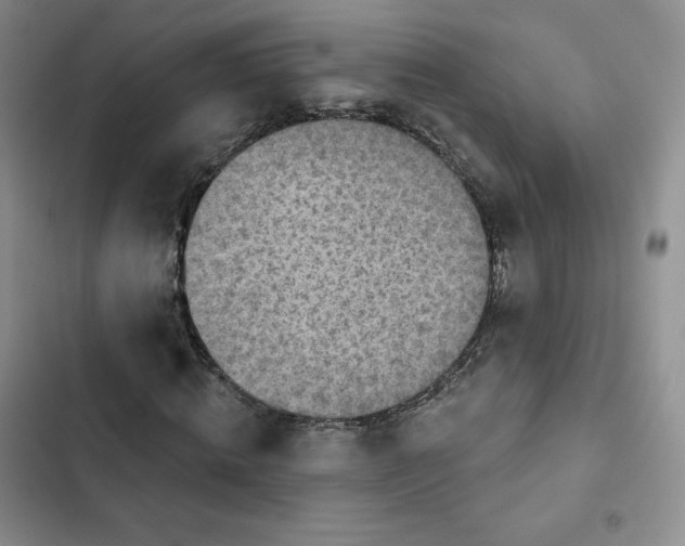 X0000102280820200808221302