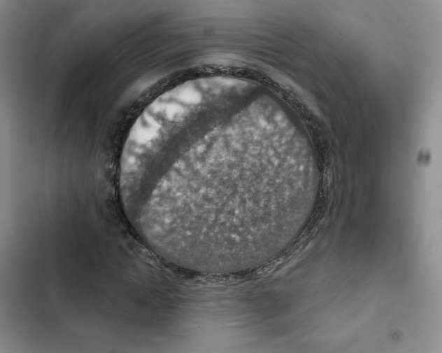 X0000102280822200808221302