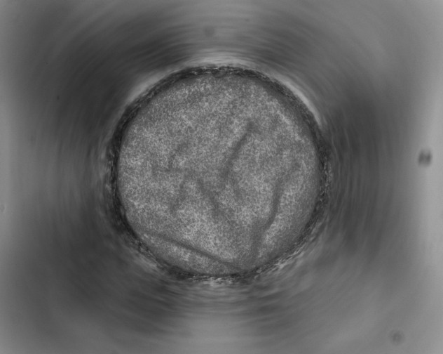 X0000102280823200808221302