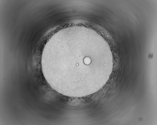 X0000102280824200808221302