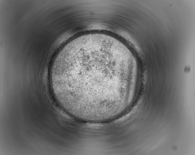 X0000102280825200808221302