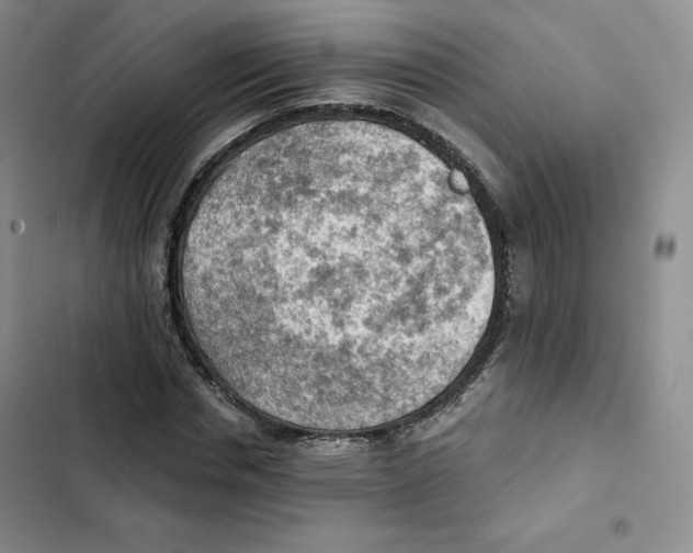 X0000102280826200808221302