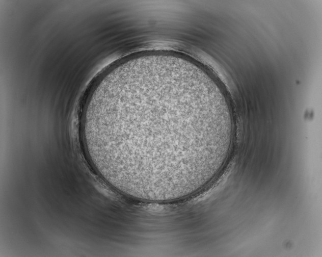 X0000102280827200808221302