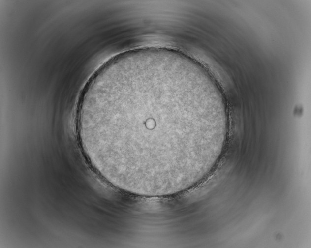 X0000102280828200808221302