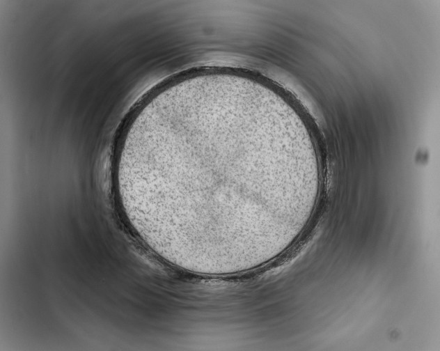 X0000102280829200808221302