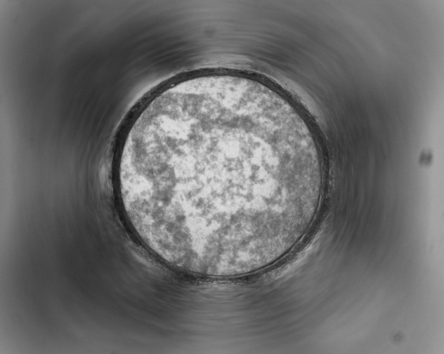 X0000102280830200808221302