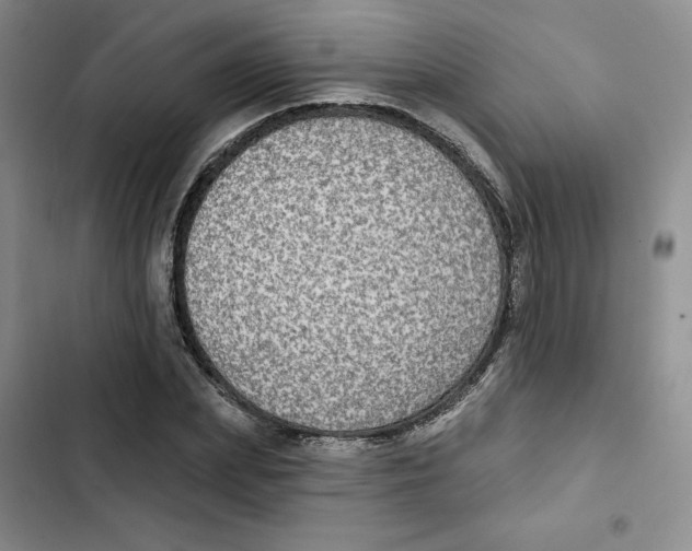 X0000102280831200808221302