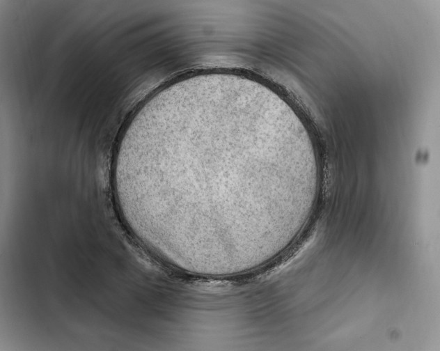 X0000102280833200808221302