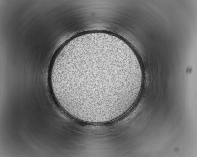 X0000102280834200808221302