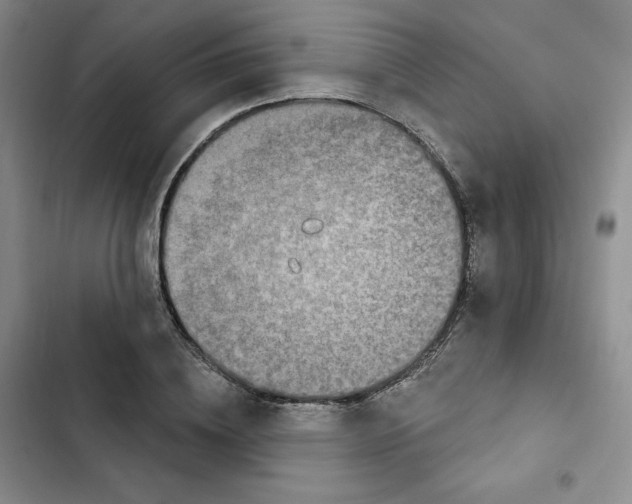 X0000102280836200808221302
