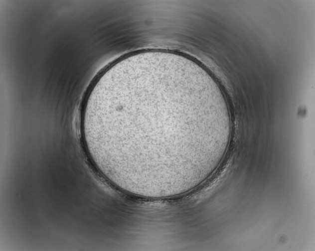 X0000102280838200808221302