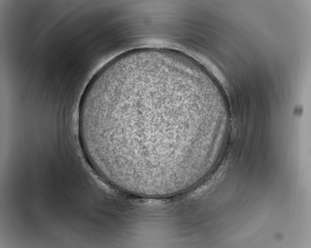 X0000102280839200808221302