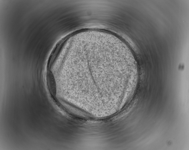 X0000102280840200808221302