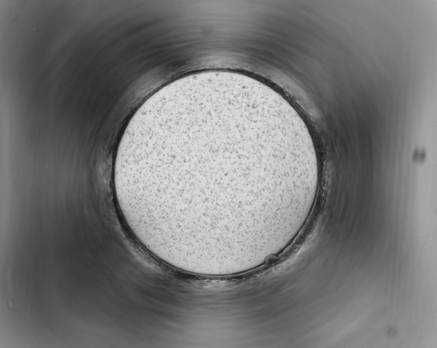 X0000102280841200808221302