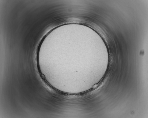 X0000102280843200808221302