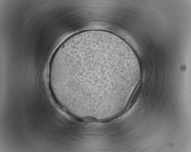 X0000102280844200808221302
