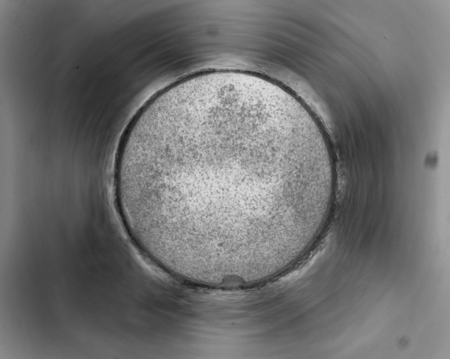 X0000102280845200808221302