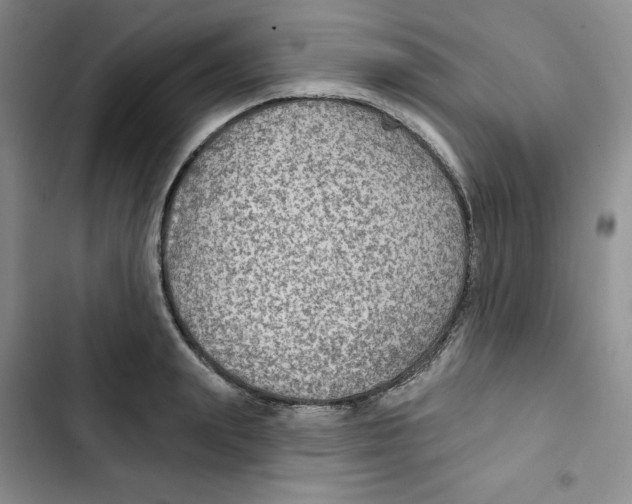 X0000102280847200808221302