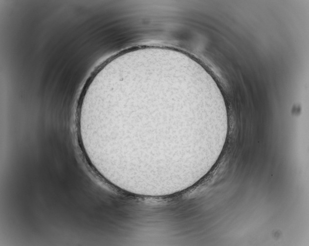 X0000102280848200808221302