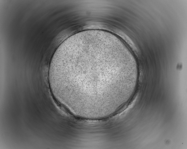X0000102280849200808221302