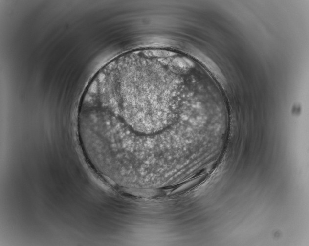 X0000102280850200808221302