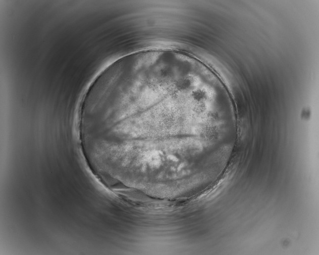 X0000102280851200808221302