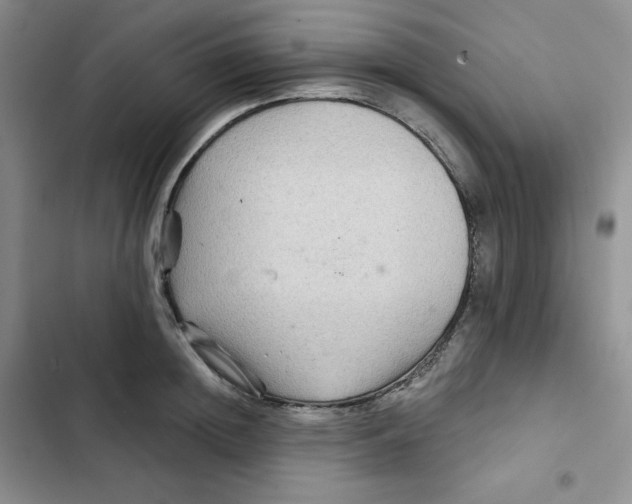 X0000102280852200808221302