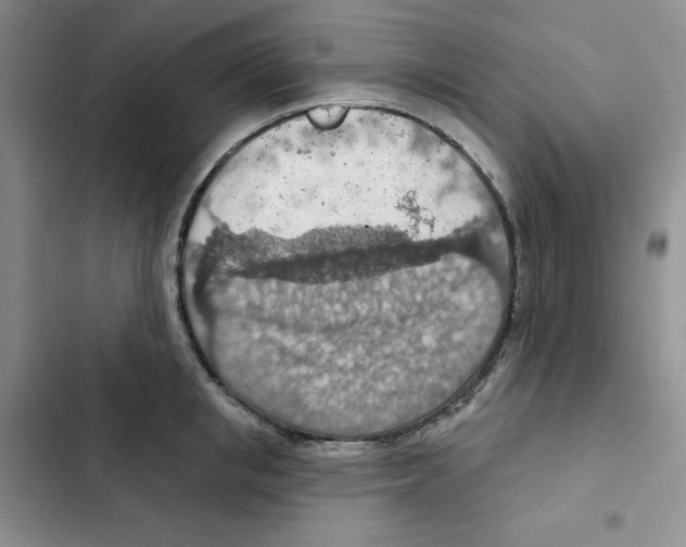 X0000102280853200808221302