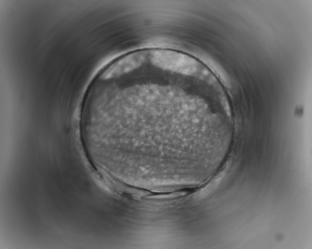 X0000102280854200808221302