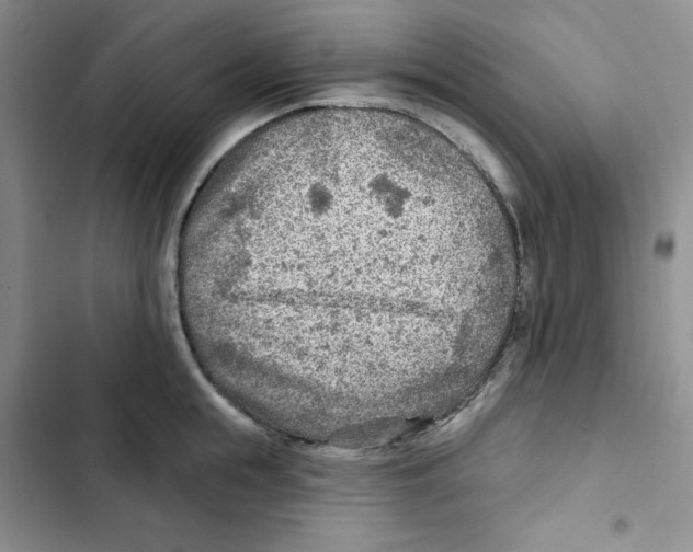 X0000102280855200808221302