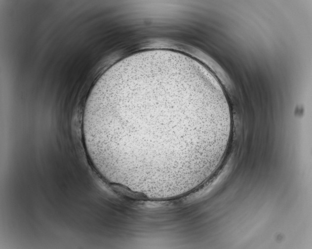 X0000102280857200808221302