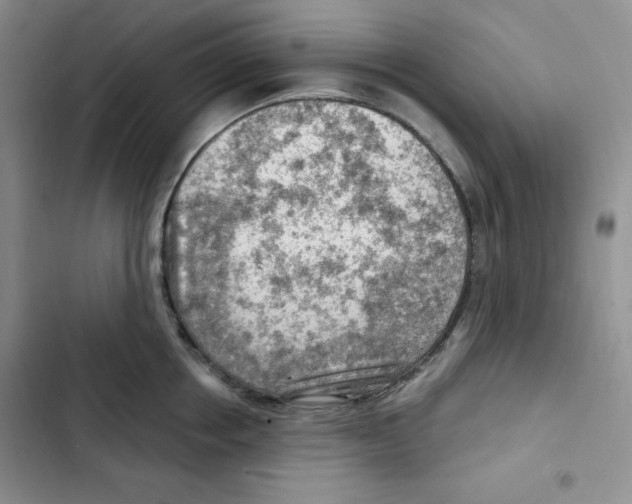 X0000102280858200808221302