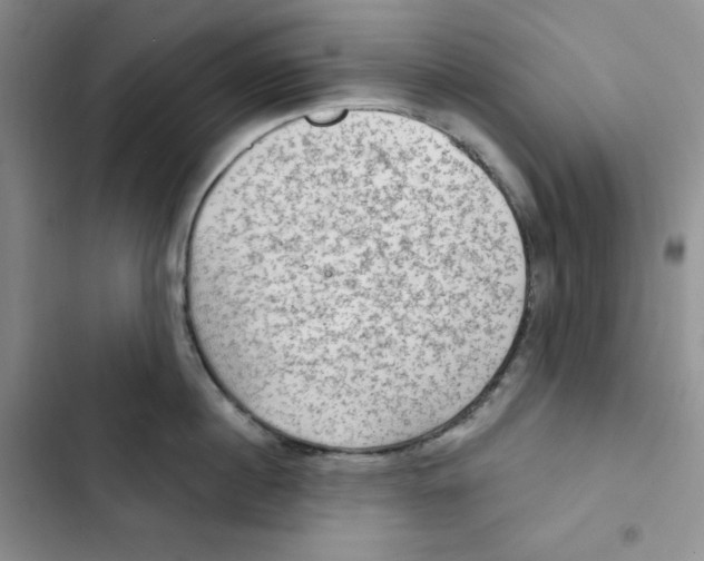 X0000102280860200808221302