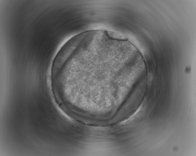 X0000102280863200808221302