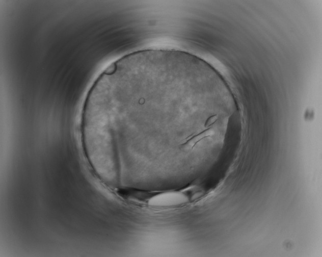 X0000102280864200808221302