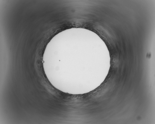 X0000102280865200808221302