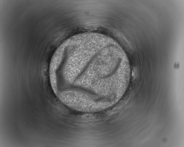 X0000102280867200808221302