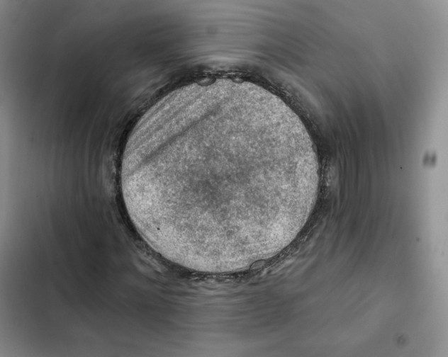 X0000102280868200808221302
