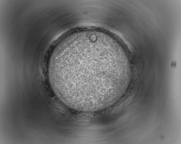 X0000102280871200808221302