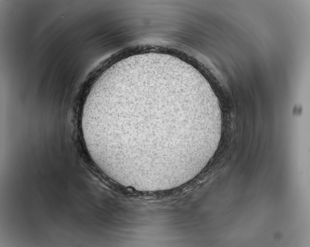X0000102280872200808221302