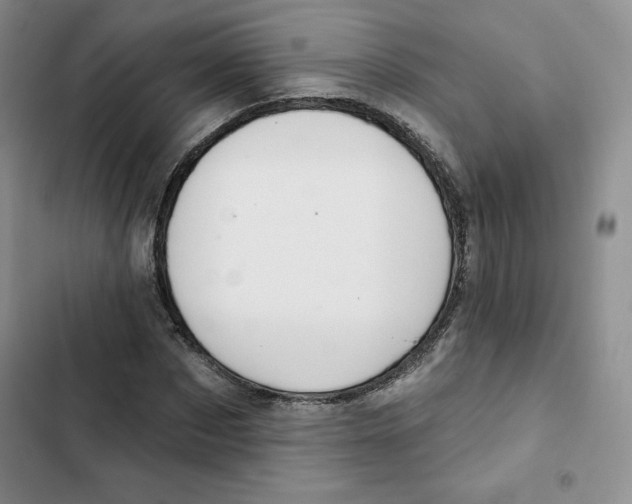 X0000102280873200808221302