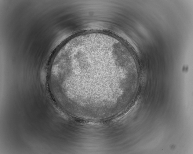 X0000102280874200808221302