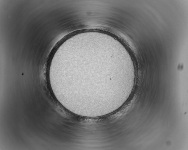 X0000102280875200808221302